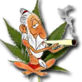 Avatar do Utilizador