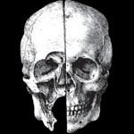 Avatar do Utilizador