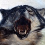 Avatar do Utilizador